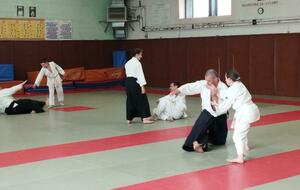 Stage Senko du 02-05-2026